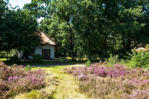 Otterlo House | Beekje: Accessible Comfort for Families and Pets