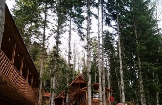 Arkhyz House | Budget-Friendly BeerLoga with Hot Tub and Kitchen Amenities