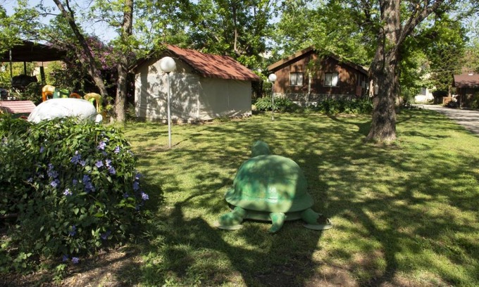 Beit Hillel Cabin | Discover Beit Nofesh Waiss: Pet-Friendly Retreat with Pool
