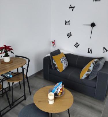 Zillisheim Apartment | Bel appartement entier F1 à 5 mn de Mulhouse