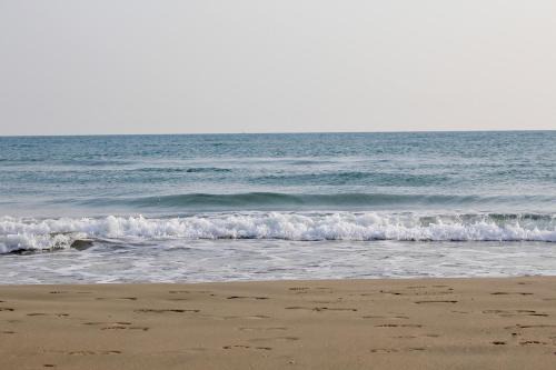 Carnon-Plage Apartment | Spacious Oceanfront Apartment with Excellent Guest Reviews