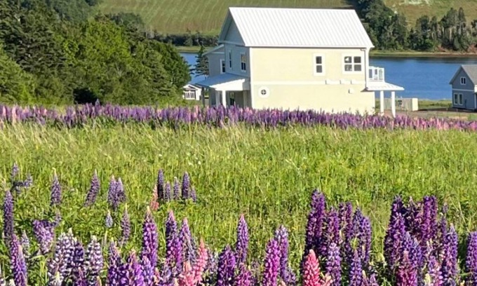 French River House | Experience Bela Vista Getaway with Oceanfront Views
