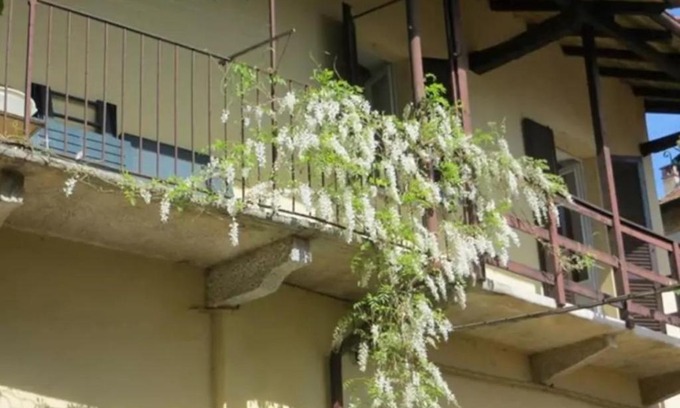 Belgirate House | Belgirate il Lavatoio