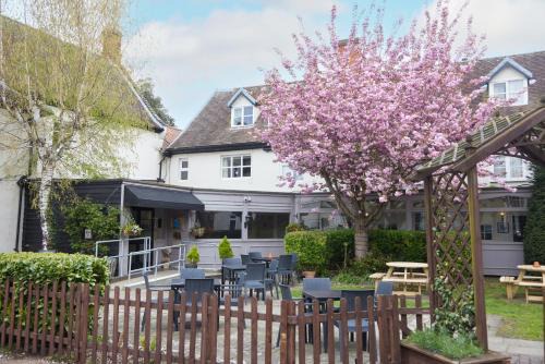 Thetford Hotel | Discover Bell by Greene King Inns: Pet-Friendly Comfort