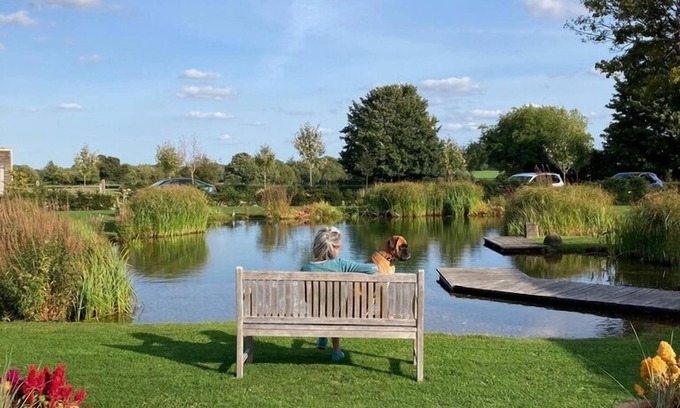 Witney RV Rental | Bell Tent Glamping: Experience Ocean View & Poolside Bliss