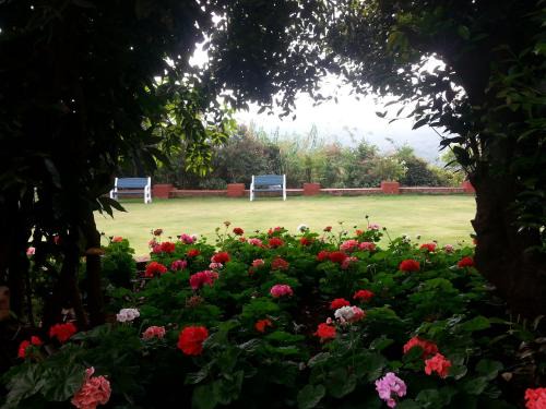 Mahabaleshwar Hotel | Relax at Bella Vista Mahabaleshwar with Pool & Ocean Views