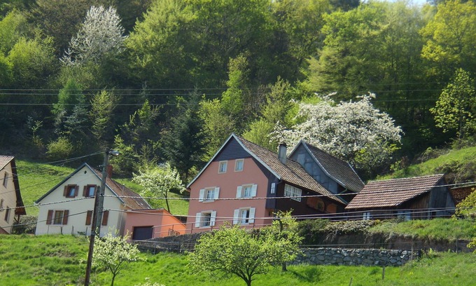 Eschbach-au-Val Apartment | Discover Belle Vue and Bon Air: Pet-Friendly Lake View Retreat