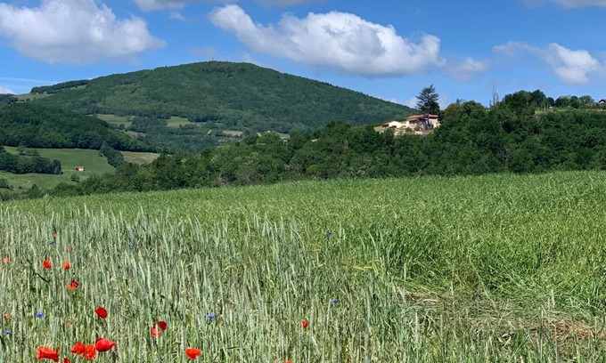 Savigny House | Pet-Friendly Belle Vue: Family-Friendly Retreat with Dining