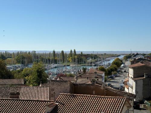 Mortagne-sur-Gironde House | Bellis