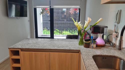 Valdivia Apartment | Pet-Friendly Retreat on Valdivia's Beautiful Costanera