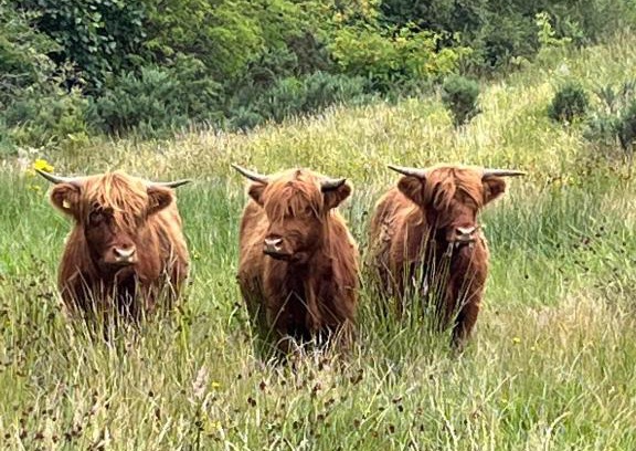 Banavie Bed & Breakfast | Guest Favorite: Ben Nevis Manor with Family-Friendly Amenities