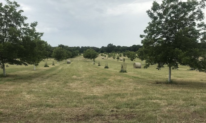 Ralston Cabin | Discover Ben Ranch Cabin #2 in a Historic Pecan Orchard