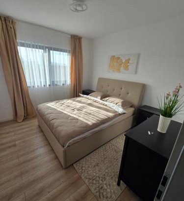 Alba Iulia House | Benchea's House