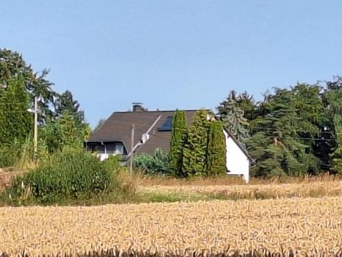 Hohenstein-Ernstthal Apartment | Discover Bergblick-FeWo: Pet & Child-Friendly Retreat