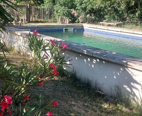 Arles Bed & Breakfast | Charming Bergerie d'Alivon in Camargue with Dining Options