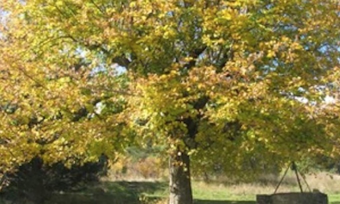 Aurel Cottage | Bergerie des Marquisans - 5 people, in the heart of nature, 2 km from AUREL.