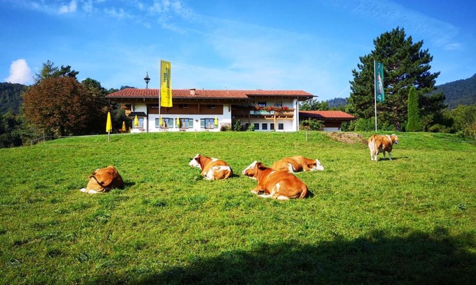 Bad Reichenhall Apartment | Charming Berggasthof Niederalm: Pet-Friendly Retreat