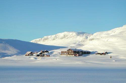 Bergsjøstølen Hotel | Experience Nature at Bergsjøstølen Fjellstue Retreat