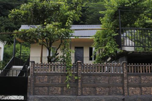 Kutaisi House | Cozy Guesthouse: Perfect for Families and Pets