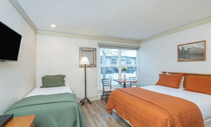 Telluride Hotel | Budget-Friendly Room in Telluride with Pet-Friendly Perks