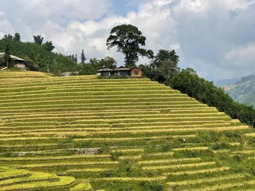 Sa Pa House | Eco-Friendly Haven: Buffalo Eco House with Family Amenities
