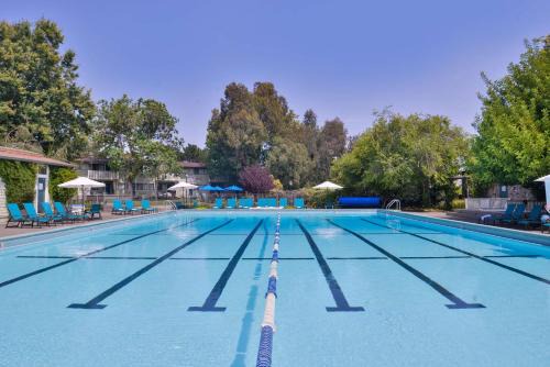 Corte Madera Hotel | Cozy Best Western Corte Madera Inn with Ocean Views