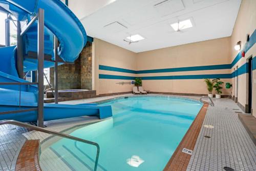 North Central Edmonton Hotel | Comfortable Stay at Best Western PLUS City Centre Inn