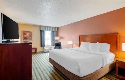 Roanoke Hotel | Pet-Friendly Retreat at BEST WESTERN PLUS Inn Valley View