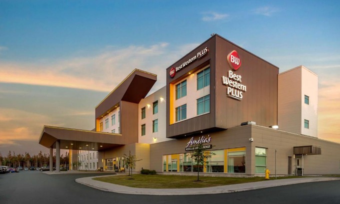 Terra Nova Hotel | Pet-Friendly Comfort at Best Western Plus St. John's Airport