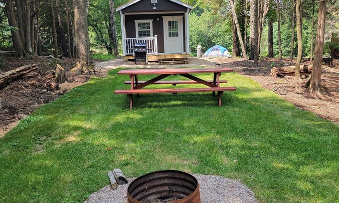 Germfask Cabin | Unforgettable Stay at Bevs Bald Eagles Nest near Pictured Rocks