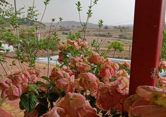 Akola Villa | Discover Bhau Mukadam Villa Gondoshi: Family-Friendly Retreat