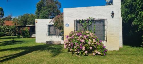 La Paloma House | Bianca Colomba: Guest Rated 9/10 & Pet Friendly Comfort