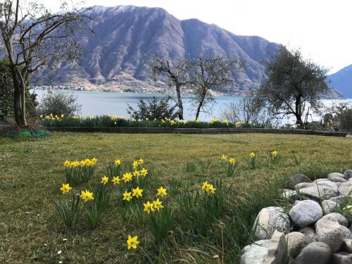 Sala Comacina Apartment | Spacious Lakeview Apartment with Three Bedrooms & Breakfast