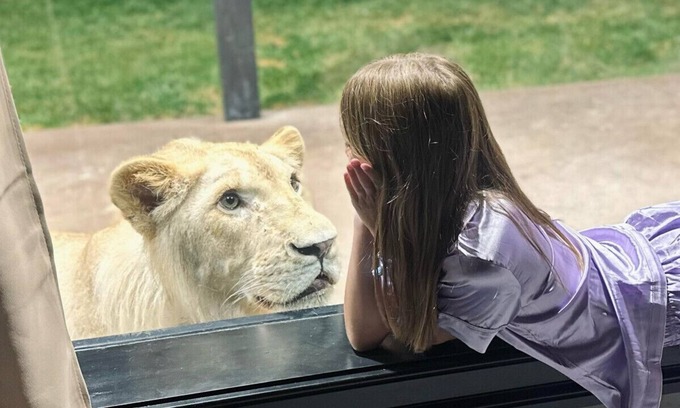 Town of Sullivan House | Discover Big Cat Bungalows at The Haven: Family-Friendly Getaway