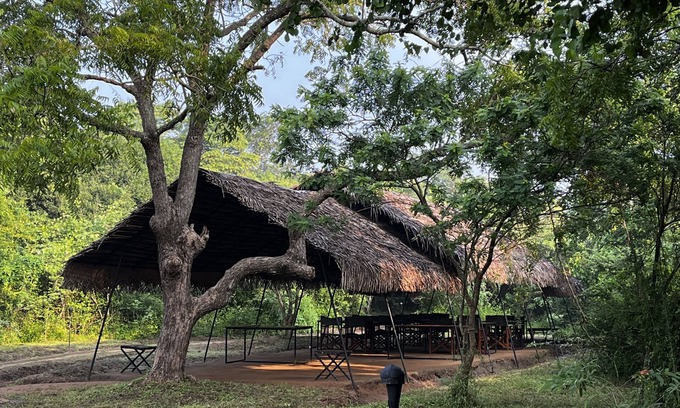 Pahala Maragahawewa Other | Discover Big Game - Wilpattu with Family-Friendly Dining