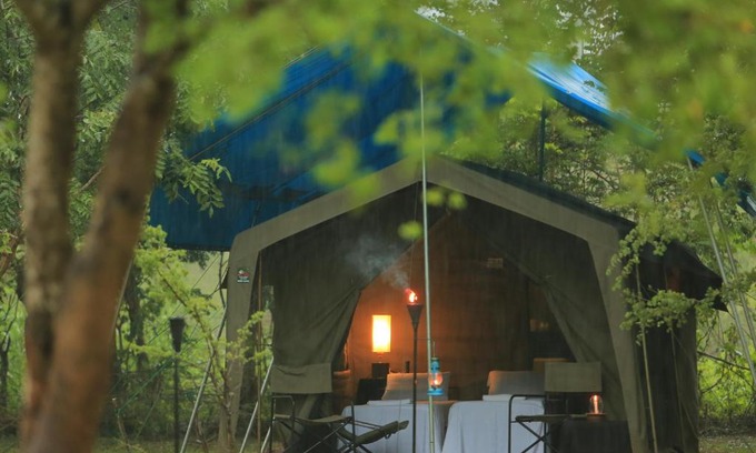 Pahala Maragahawewa Other | Experience Big Game - Wilpattu with Family-Friendly Amenities
