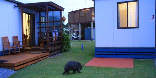 Kelso Resort | Relax at BIG4 Kelso Sands Holiday & Wildlife Park