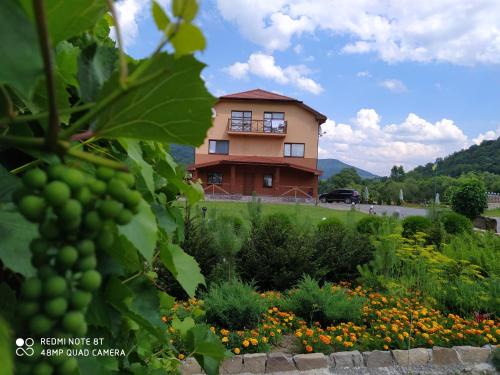 Sil Hotel | Discover Bilovoddya Hotel: Beachfront Retreat with Spa