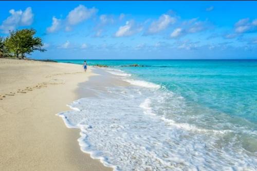 Alice Town Apartment | Bimini 2BR-2BA Ocean View Near Infinity Pool & Beach
