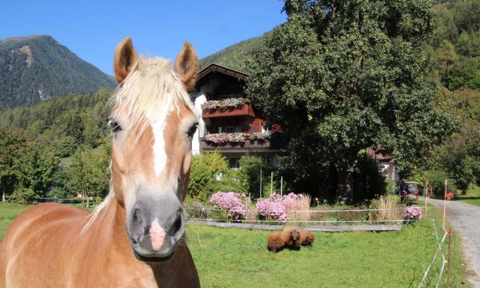 Obervellach House | Pet-Friendly Bio-Bauernhof Auernig with Hot Tub & Kitchen