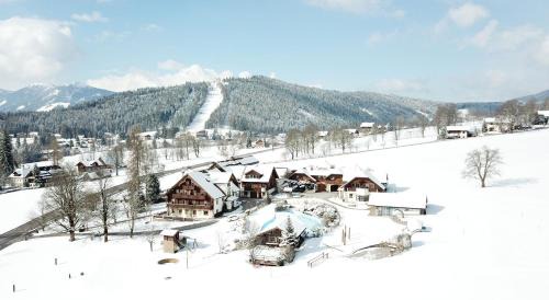 Ramsau am Dachstein House | Experience Bio-Bauernhof Simonbauer: Pet-Friendly Retreat