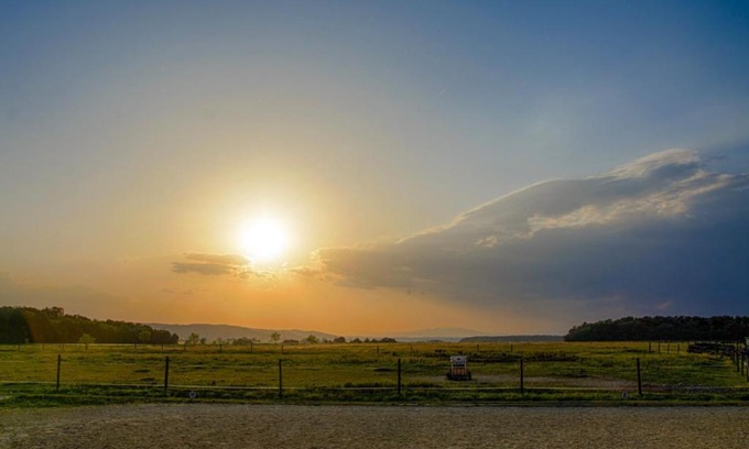 Guessing Bed & Breakfast | Top-Rated Bio-Pferdehof Fabian: Pet-Friendly & Breakfast Included