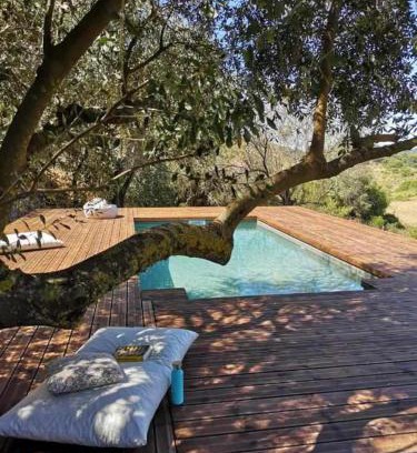 Setubal Cabin | Eco-Friendly Retreat at Biovilla Sustentabilidade