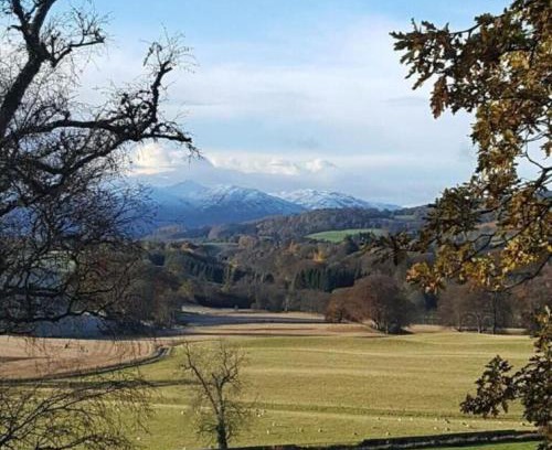 Perth House | Birch Lodge, Pitlandie - 4-Star Lodge with Sauna & Hot Tub