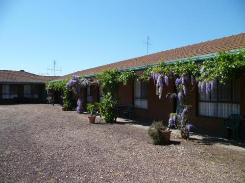 Tocumwal Hotel | Welcoming Birch Motel Tocumwal: Pool & Family Amenities