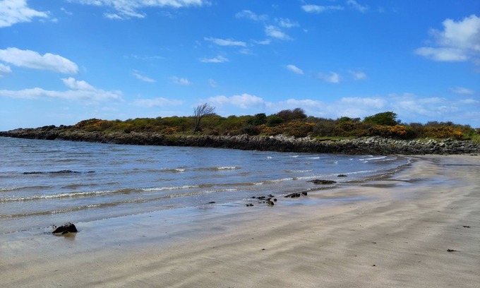 Castle Douglas Cottage | Cozy Birds Nest Cottage - Pet-Friendly Retreat for 2
