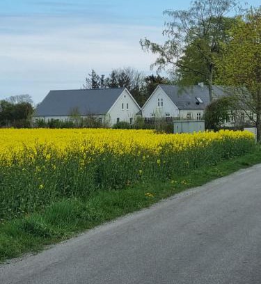 Otterup Bed & Breakfast | Oceanfront Comfort at Birkelund BnB - Guest Rated 10/10