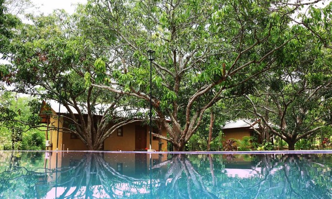 Palugaswewa Cabin | Discover Bissa Villa: Oceanfront Pool with High Ratings