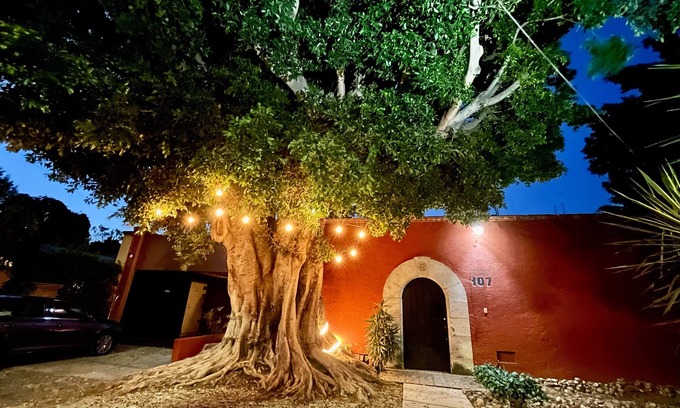 Reforma House | Explore Bitcoin House Oaxaca: Ideal for Groups & Families