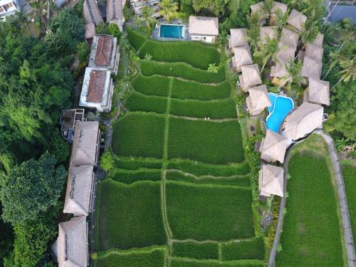Ubud City-Centre Hotel | Relax at Biyukukung Suite & Spa with Pool and Ocean Views